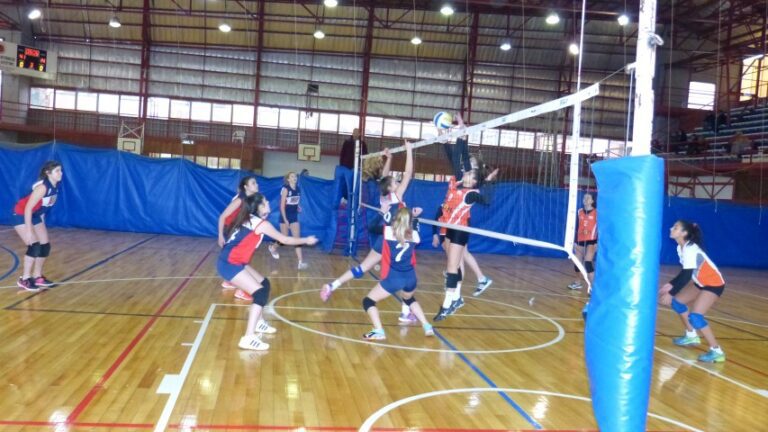 Náutico Zárate no pudo mantener la categoría en Inferiores