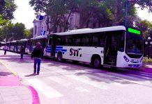 ESTE DOMINGO: Se realizarán las PASO 2021 y confirman que “Los vecinos podrán viajar gratis en el SIT para las elecciones”