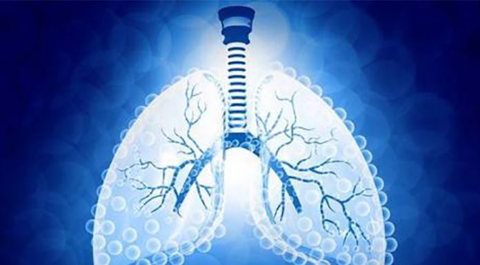 Diseñan un ‘pulmón’ que tiene como función crear combustible del agua