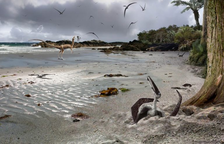 Descubren que los pterodáctilos eran capaces de volar ya en la etapa de su nacimiento