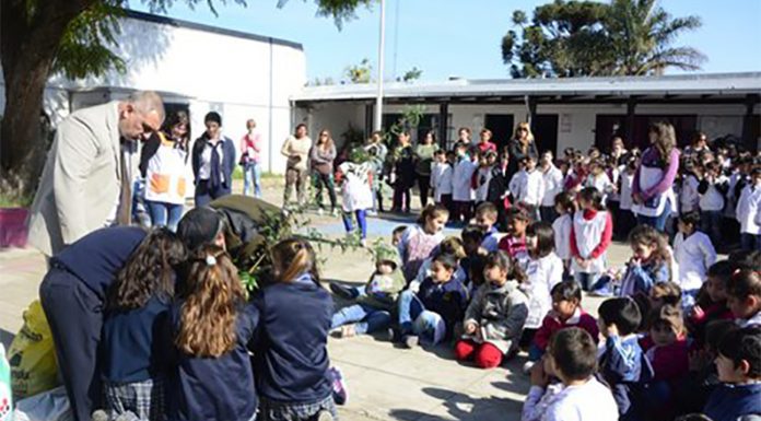 El CICACZ celebra el Día del Medio Ambiente mientras trabaja para cuidarlo