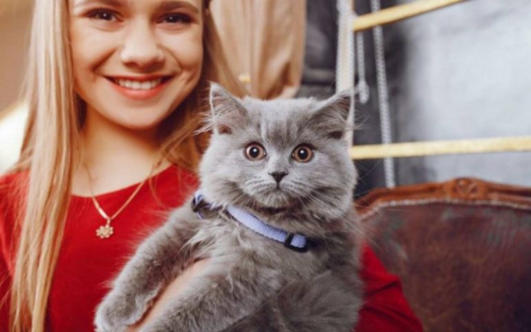 Un estudio asegura que los gatos son el reflejo de la personalidad de sus amos