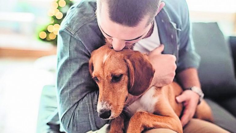 Los perros se contagian del grado de stress de sus dueños
