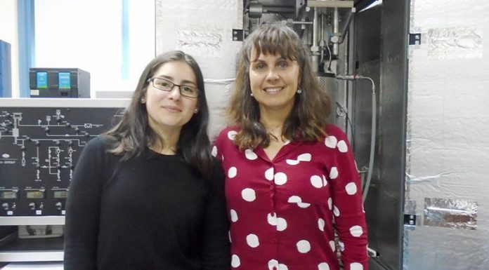 Cientificas del Conicet: Reutilizan dióxido de carbono para producir gas natural