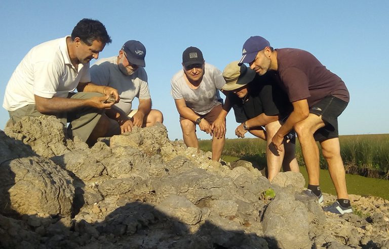 DESCUBRIMIENTO EN LA ZONA: Hallaron restos de una playa marina de cinco mil años de antigüedad en San Pedro