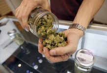 Por primera vez un estudio hecho en Argentina reveló que el cannabis farmacéutico logró reducir el dolor neuropático central en pacientes con esclerosis múltiple