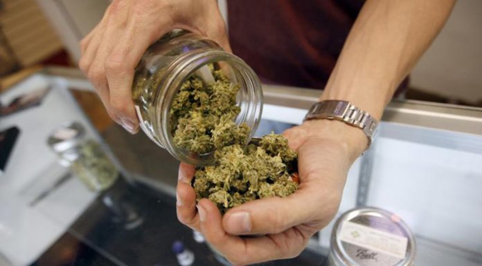 Por primera vez un estudio hecho en Argentina reveló que el cannabis farmacéutico logró reducir el dolor neuropático central en pacientes con esclerosis múltiple