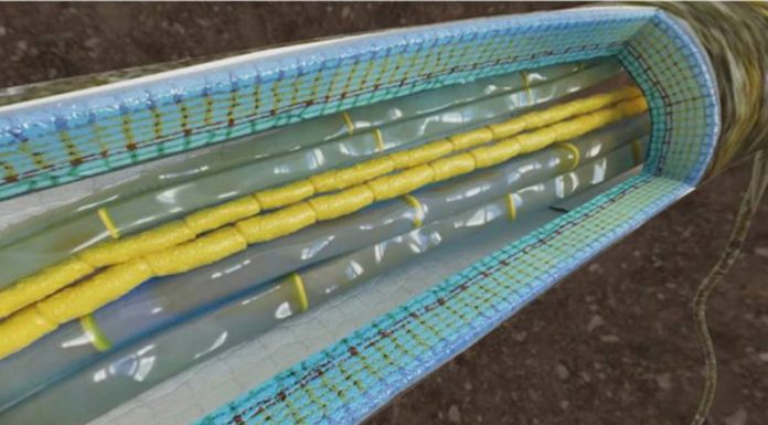 SLT-FAUBA: Realidad virtual, una aliada para la enseñanza agronómica