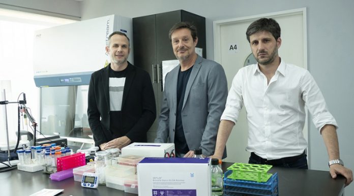 Portátil, rápido y de bajo costo: cómo funciona el test nacional que detecta el dengue