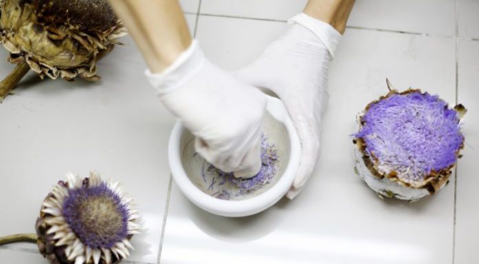 Científicos desarrollan una fórmula 100% natural para elaborar quesos