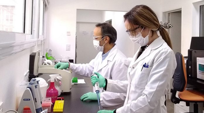 Avances en la validación de un test rápido y portátil de Coronavirus (SARS-CoV-2) en base a tecnología CRISPR