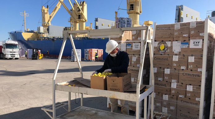 COMERCIO EXTERIOR: Primera exportación de frutas frescas cítricas desde puertos bonaerenses