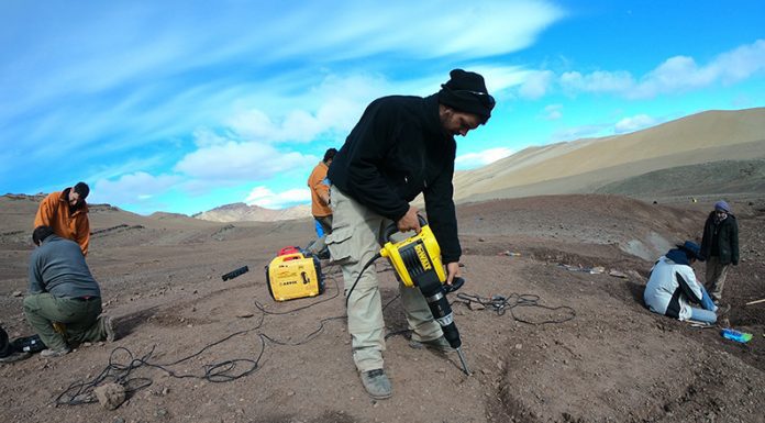 A UNOS 25 KILÓMETROS DE EL CALAFATE: Se realizó una extraordinaria campaña paleontológica en Santa Cruz
