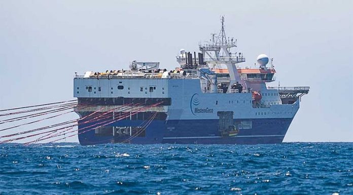 Por la protección del Mar Argentino: Greenpeace denuncia bombardeos acústicos en aguas argentinas