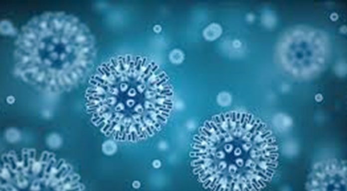 PARTE DIARIO: En Zárate después de dos días sin “casos sospechados”, ayer se presentaron cinco pacientes que están en estudio