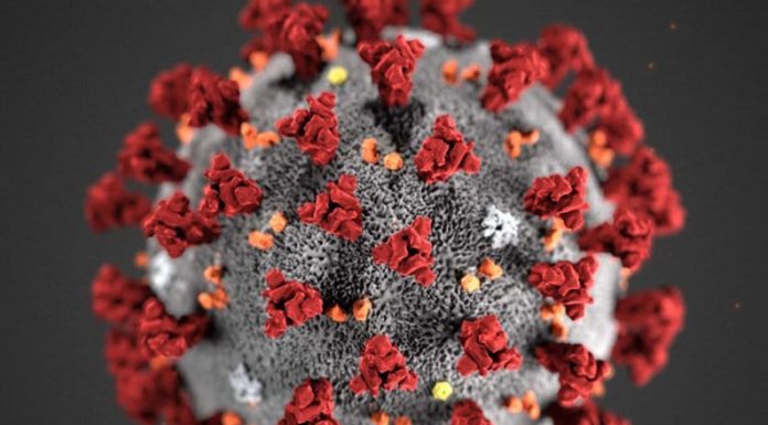 COVID-782: Aumentan los casos no “encontrados” y siguen las diferencias. Sábado con 81 positivos, 124 recuperados y 101 sospechados