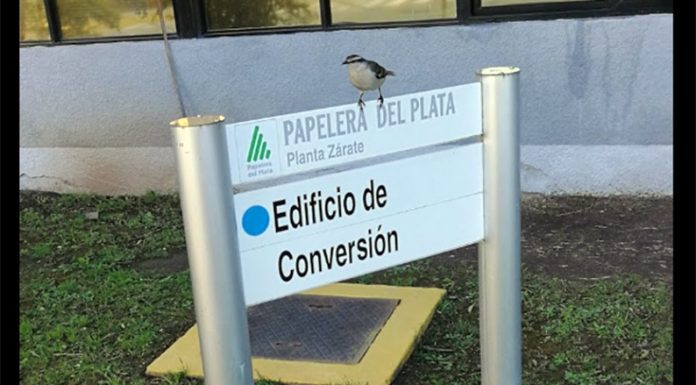 PARTE DIARIO: El informe oficial mostró una jornada con mayor actividad por dos casos positivos en industrias locales