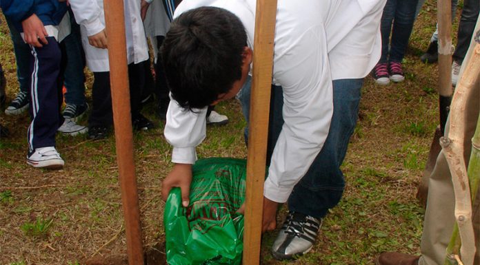 El CICACZ realizó actividades para conmemorar el Día Mundial del Medio Ambiente