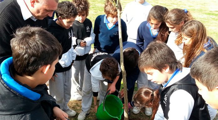 Día Mundial de la Educación Ambiental: “Catástrofe climática”, “crisis” y “emergencia” son los términos más utilizados a nivel mundial