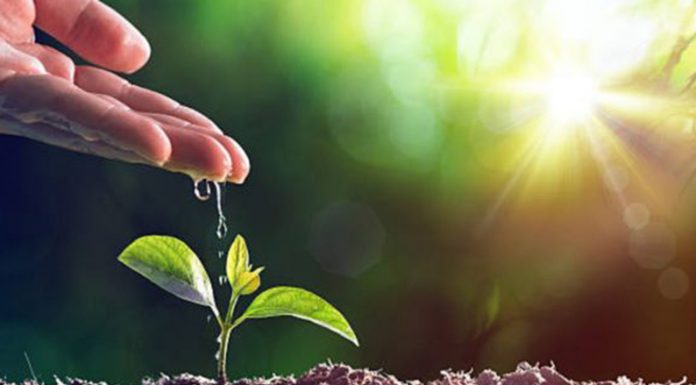 DÍA MUNDIAL DEL MEDIO AMBIENTE: Son muchas las deudas de Zárate con relación a los 48 basurales a cielo abierto que tiene en el Distrito