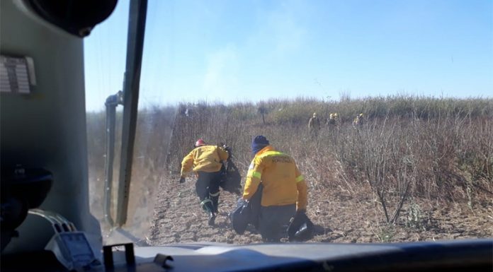 Prefectura colabora para combatir el fuego de pastizales frente a Rosario