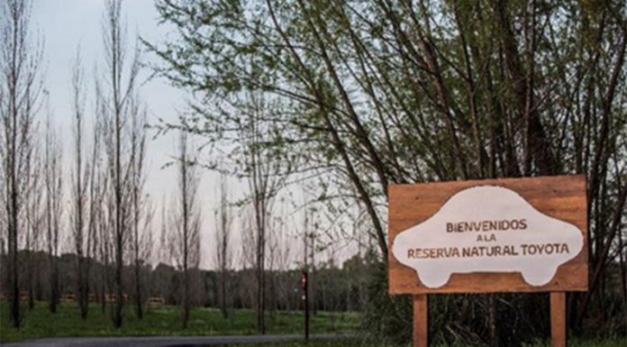 Desde Japón: Toyota apoya la conservación de la Patagonia argentina