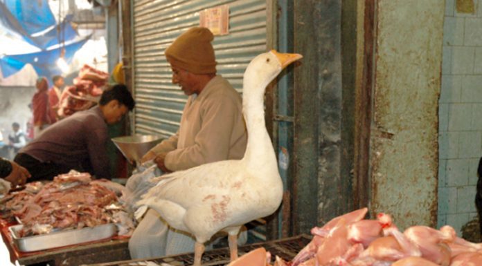 7 de junio: se conmemora hoy el Día Mundial de la Inocuidad de los Alimentos