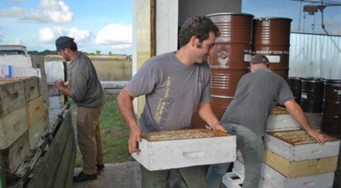 Provincia creó un programa para fortalecer a las cooperativas agropecuarias