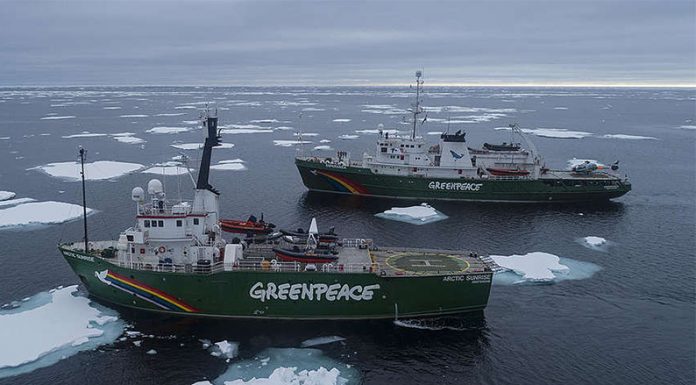 Greenpeace revela cómo otorgaron permiso para bombardear el Mar Argentino de aquí a 5 años
