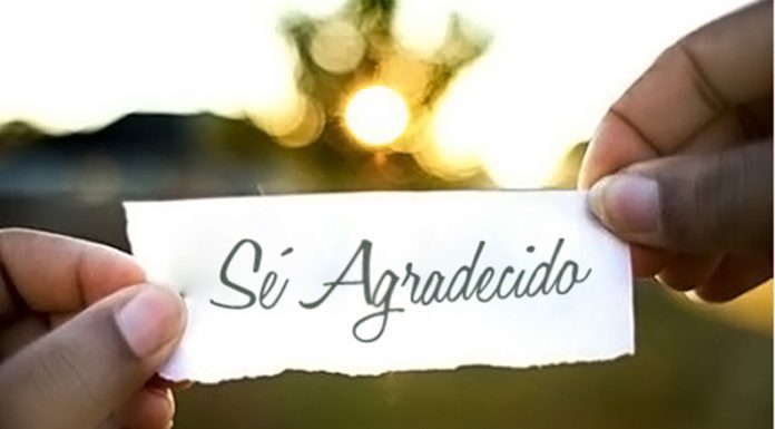 CON ZETA: Interesantes aportes de nuestros columnistas de todos los viernes en la edición 2008