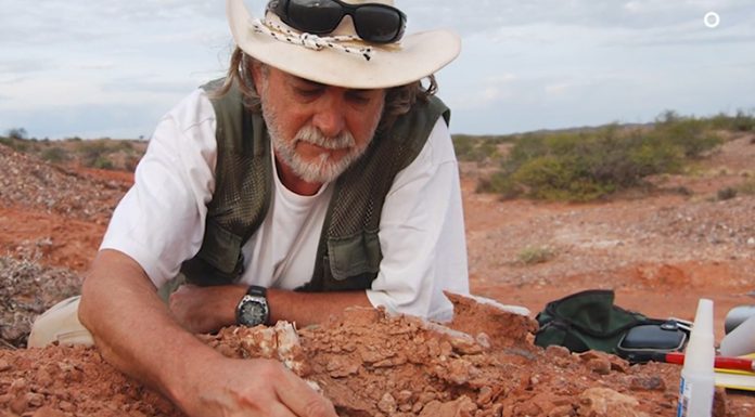 Descubren una nueva especie de tortuga de unos 205 millones de años de antigüedad