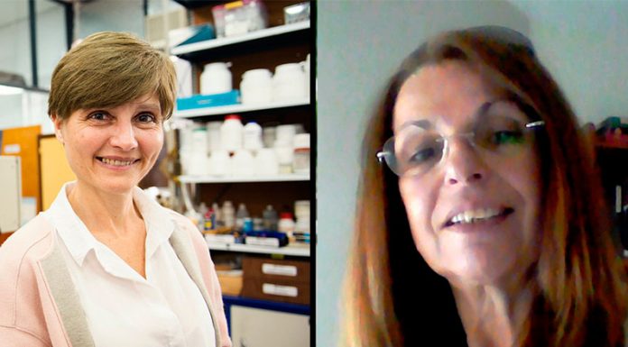 Desarrollan telas antivirales para barbijos de uso social