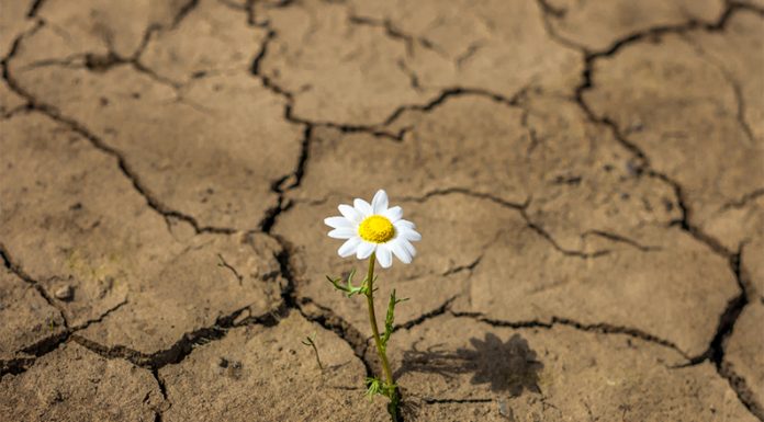 CON ZETA 2045: Resumen de lo aportado por los tres columnistas en el programa del viernes pasado en la radio de este Multimedios