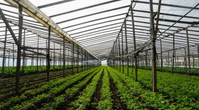 Desarrollo Agrario capacita a pymes y cooperativas para ser proveedores de la provincia