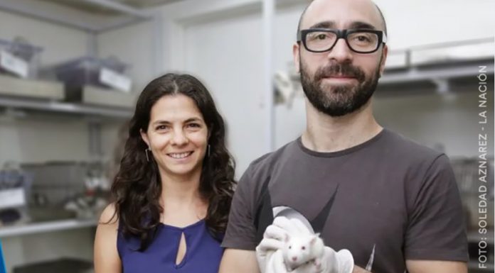 DISTINCIÓN: Premian a científicos de la UBA y el Conicet por sus contribuciones en neurociencia