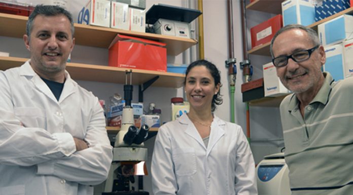 Formar la microbiota del bebé para evitar enfermedades: una misión de mil días