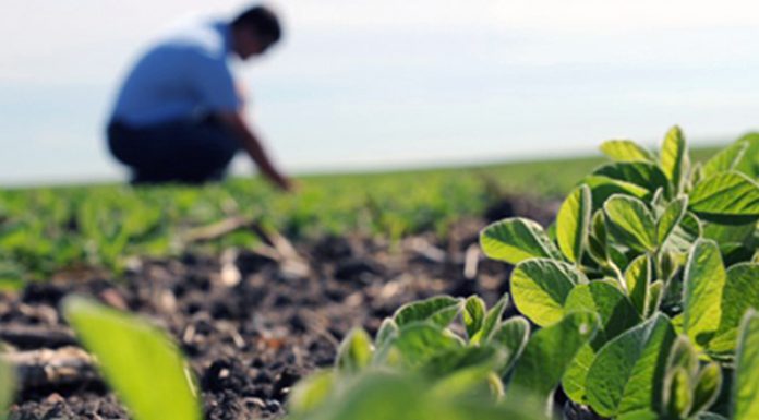 Producción agropecuaria bajo la lupa