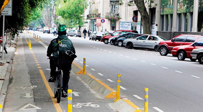 En el Día Mundial sin Auto: Greenpeace expone el precario estado de las ciclovías en el que los ciclistas circulan