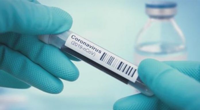 Un estudio confirmó que los anticuerpos contra el coronavirus duran al menos 4 meses