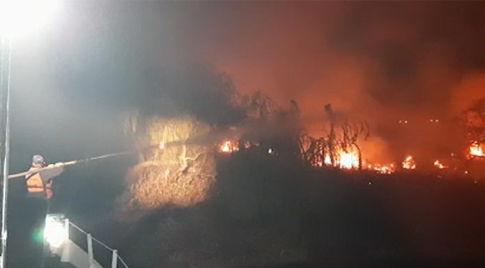 Incendios en el Delta: Un guardacostas de Prefectura, junto con Bomberos Voluntarios de Zárate, colaboraron en la extinción de un incendio