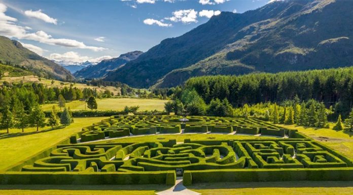 Laberintos argentinos para perderse, encontrar la salida y volver a perderse