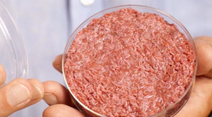 CON ZETA 2055: El aporte del trio de columnistas de cada viernes, con novedades de tecnología, consejos de psicología y análisis político