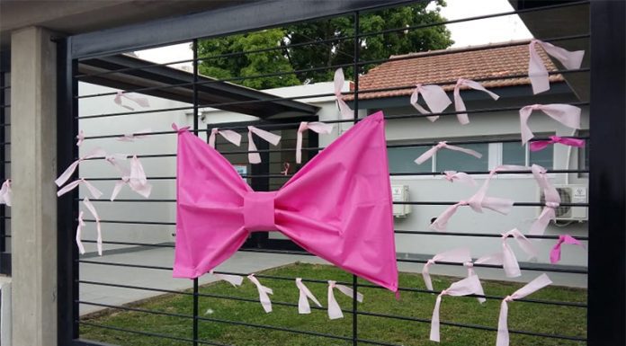 ZÁRATE ROSA: La consigna de las dos entidades que luchan contra el Cáncer de Mama es vestir la ciudad durante octubre de color rosa