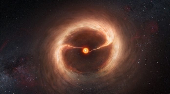 Registran, por primera vez, la influencia de campos magnéticos en partículas de gas de dos estrellas en formación