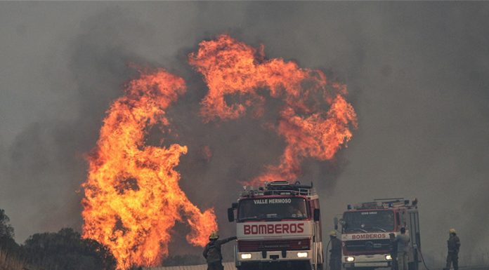 Más de 400.000 hectáreas afectadas por el fuego: “Los incendios intencionales deben ser catalogados como delito penal”