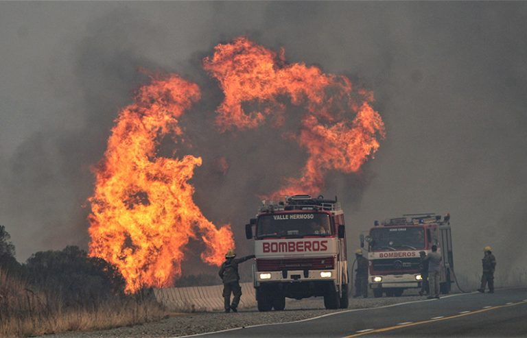 Más de 400.000 hectáreas afectadas por el fuego: “Los incendios intencionales deben ser catalogados como delito penal”