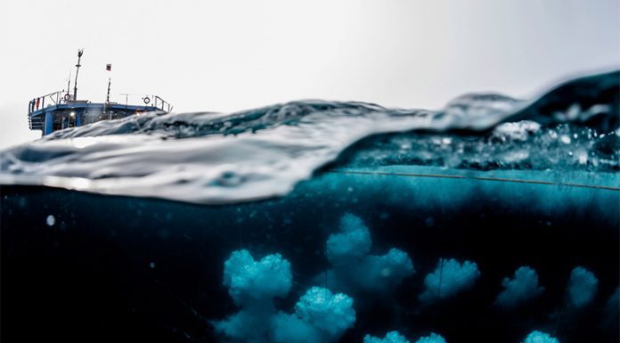 Greenpeace expone la nula intención que hubo para proteger el Mar Argentino de los petroleros