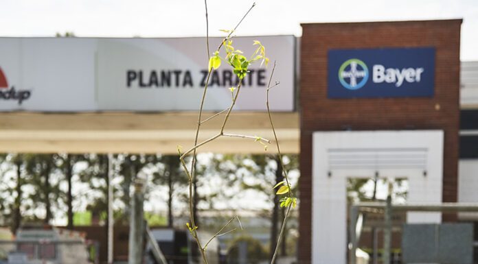 Jóvenes por la Agricultura: En la cumbre Bayer honra a tres jóvenes líderes en agro