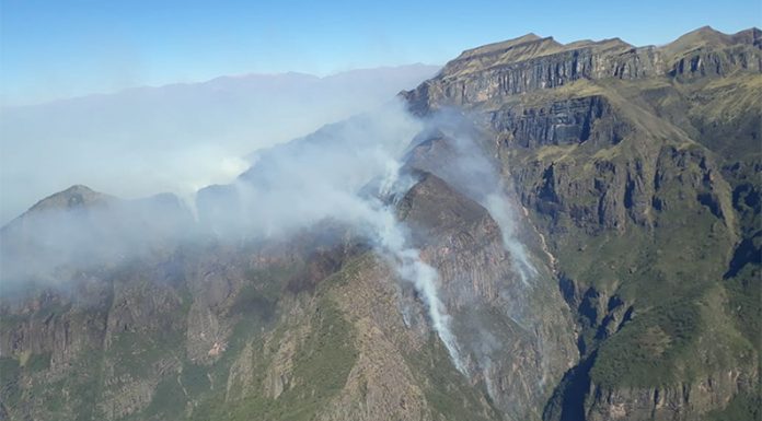 Continúa el alerta por incendios: Greenpeace advierte que el fuego ya arrasó casi 5.000 hectáreas del Parque Nacional Calilegua
