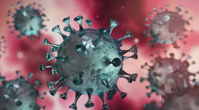 COVID-811: Sábado con 38 positivos, con 36 recuperados, 75 sospechados, con 216 menos contagios y 5 fallecidos perdidos